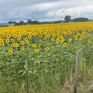 Meet your Posher, Cj